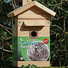 Multi Species Feeder Nest box and camera 