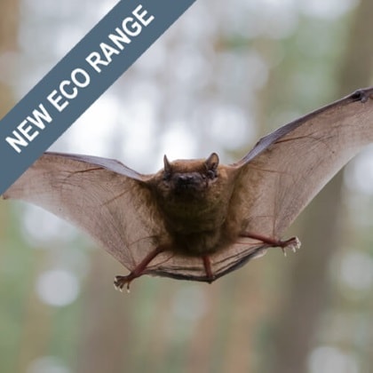 Bat Boxes