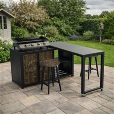 Large 4 Burner Gas Plancha