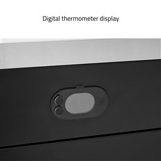 Digital thermometer display 