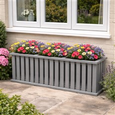 Planter Display Under Window