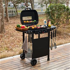 2 Burner Gas Grill BBQ with Cover and Lid