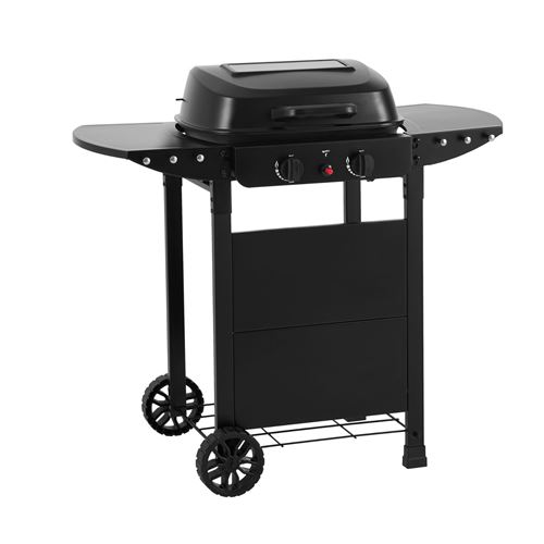 2 Burner Gas Grill BBQ with Cover and Lid
