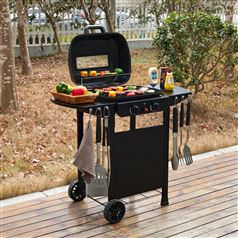2 Burner Gas Grill BBQ with Cover and Lid