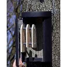Schwegler 1FS Bat Box