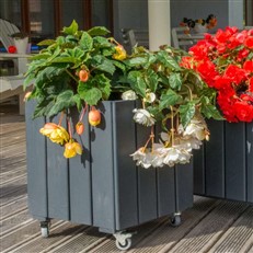 Small Black Valmiera Flower Box With Castors