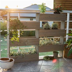 Wooden Wall Mounted Hanging Shelves for Potted Plants