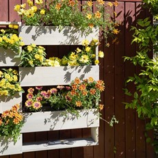 Wooden Wall Mounted Hanging Shelves for Potted Plants