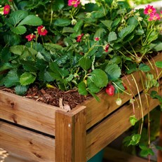 Gardener’s Small Four Section Raised Planter With Shelf