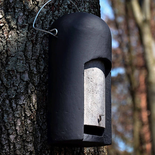 Schwegler 2Fn Bat Box