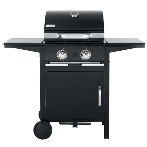 Mayfield 2 Burner Outdoor Gas BBQ Grill