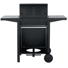 Mayfield 2 Burner Outdoor Gas BBQ Grill