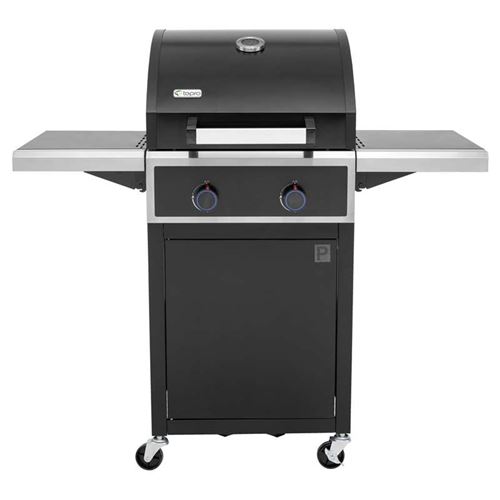 Keansburg 2 Burner Gas BBQ Grill