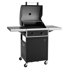 Keansburg 2 Burner Gas BBQ Grill