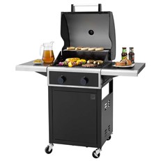 Keansburg 2 Burner Gas BBQ Grill