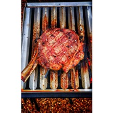 Assador Wood Fired BBQ Grill 70cm