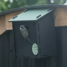 Eco Small Bird Nest Box