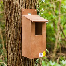 Little Owl Nest Box