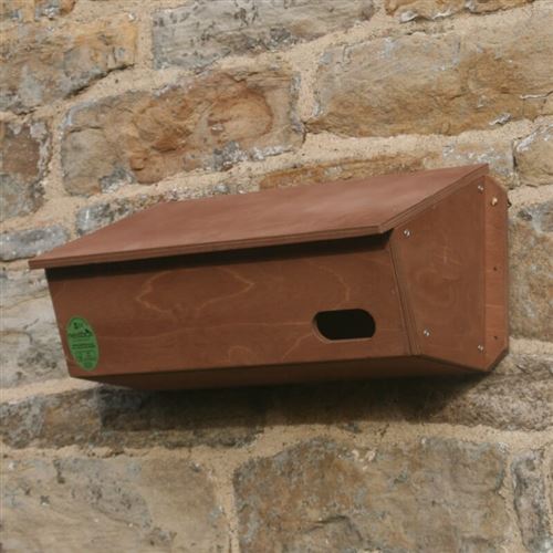 Swift Nest Box