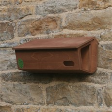 Swift Nest Box