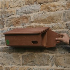 Swift Nest Box