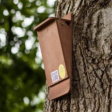 Treecreeper Nest Box