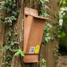 Treecreeper Nest Box