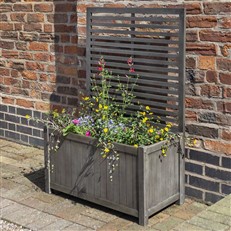 Alderley Planter with Trellis