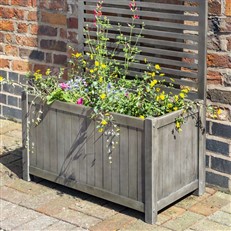 Alderley Planter with Trellis