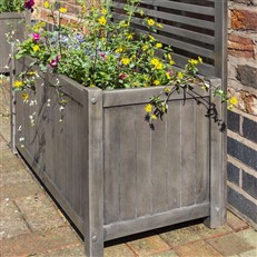 Alderley Planter with Trellis