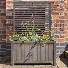 Alderley Planter with Trellis