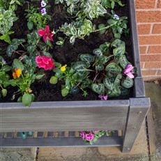 Alderley Raised Planter