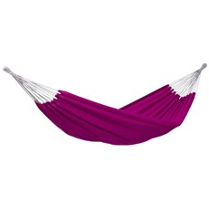 Amazonas Florida Hammock