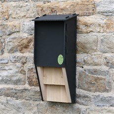 Eco Kent Bat Box