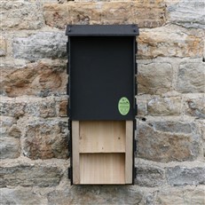 Eco Kent Bat Box