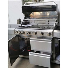 Stainless Steel Gas BBQ Grill Module