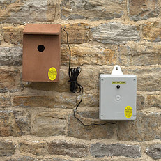 Wireless Bird Box Camera Battery Powered