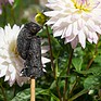 Antique Bronze Hedgehog Cane Companion