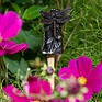 Antique Bronze Dragonfly on Bamboo Cane Companion
