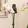 Antique Bronze Barn Owl Cane Companion