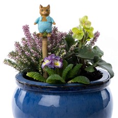 Beatrix Potter's Tom Kitten Coloured Cane Companion