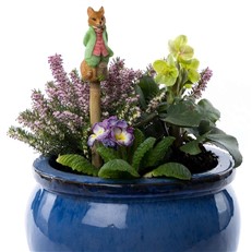 Beatrix Potter's Mr Tod Coloured Cane Companion