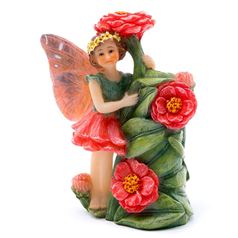 Colour Zinnia Fairy Cane Companion