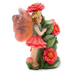 Colour Zinnia Fairy Cane Companion