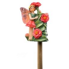 Colour Zinnia Fairy Cane Companion