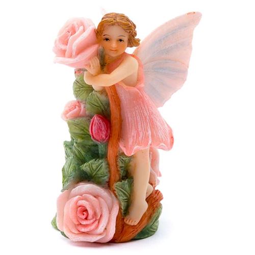 Colour Rose Fairy Cane Companion