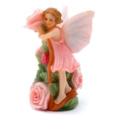 Colour Rose Fairy Cane Companion