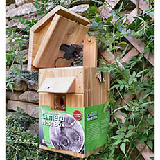 Multi Species Feeder Nest box and camera 
