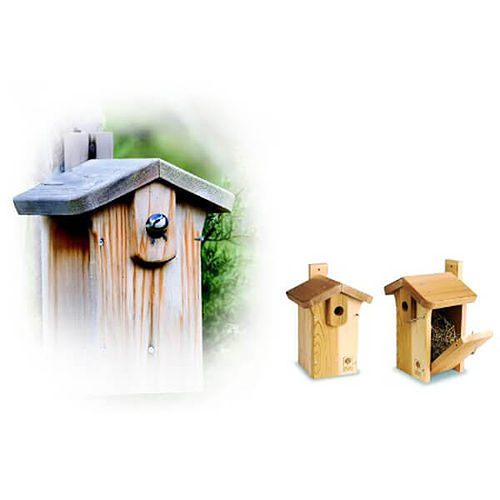 Cedar Classic Bird Nest Box