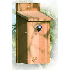 Solid Cedar Modern Bird Box